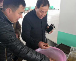 歡迎河南鄭州齊老板來許昌智工考察湯圓、元宵制餡機 歡迎河南鄭州齊老板來許昌智工考察湯圓、元宵制餡機