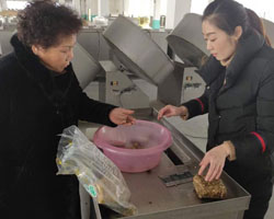 歡迎陜西咸陽客戶來廠考察并訂購湯圓、元宵制餡機 歡迎陜西咸陽客戶來廠考察并訂購湯圓、元宵制餡機